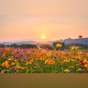 Meet your Posher, Autumn